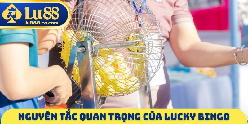Lucky Bingo LU88 - Tiêu Chí Đánh Giá Vé Cược Tại Nền Tảng