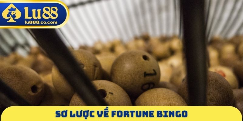 Fortune Bingo LU88 - Điểm Danh Các Quyền Lợi Khác Nhau