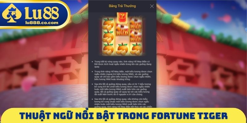 Fortune Tiger - Tựa Game Nổ Hũ Nhận Thưởng Gấp 5.000 Lần