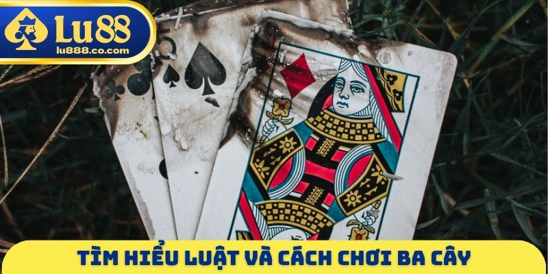 Ba Cây - Game Bài Đổi Thưởng Thắng Lớn Tới 95% Mỗi Ván